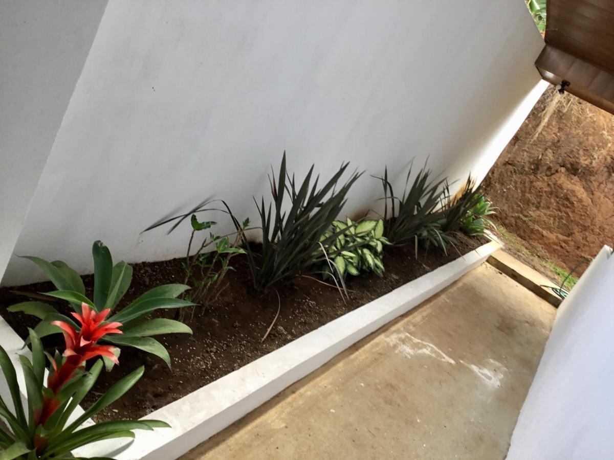 Brand New House Alajuela Near The Airpor Hotel Exterior foto